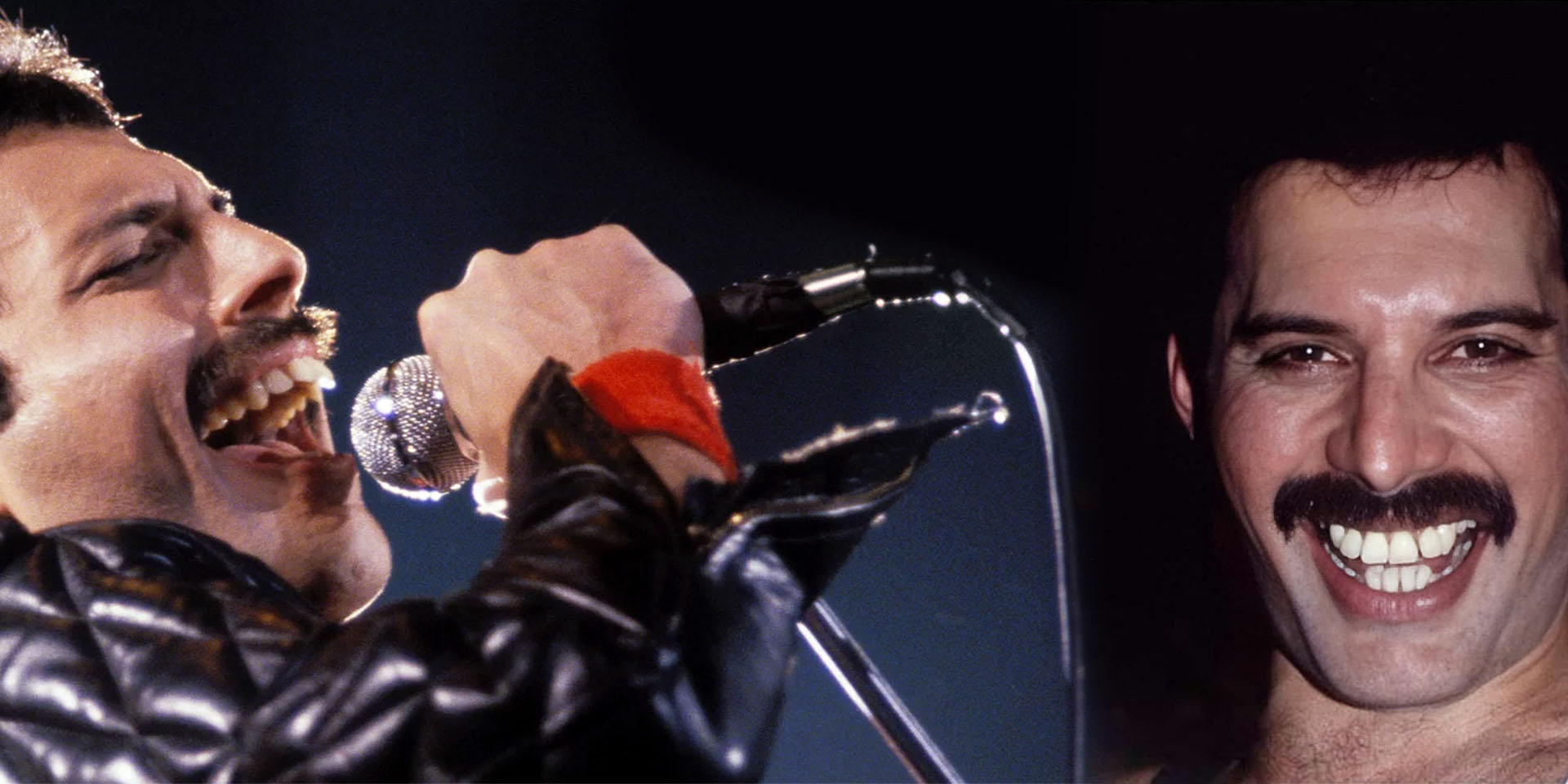 freddie mercury histórias curiosas dos dentes de personalidades famosas
